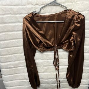 Brown Shiny Crop Top